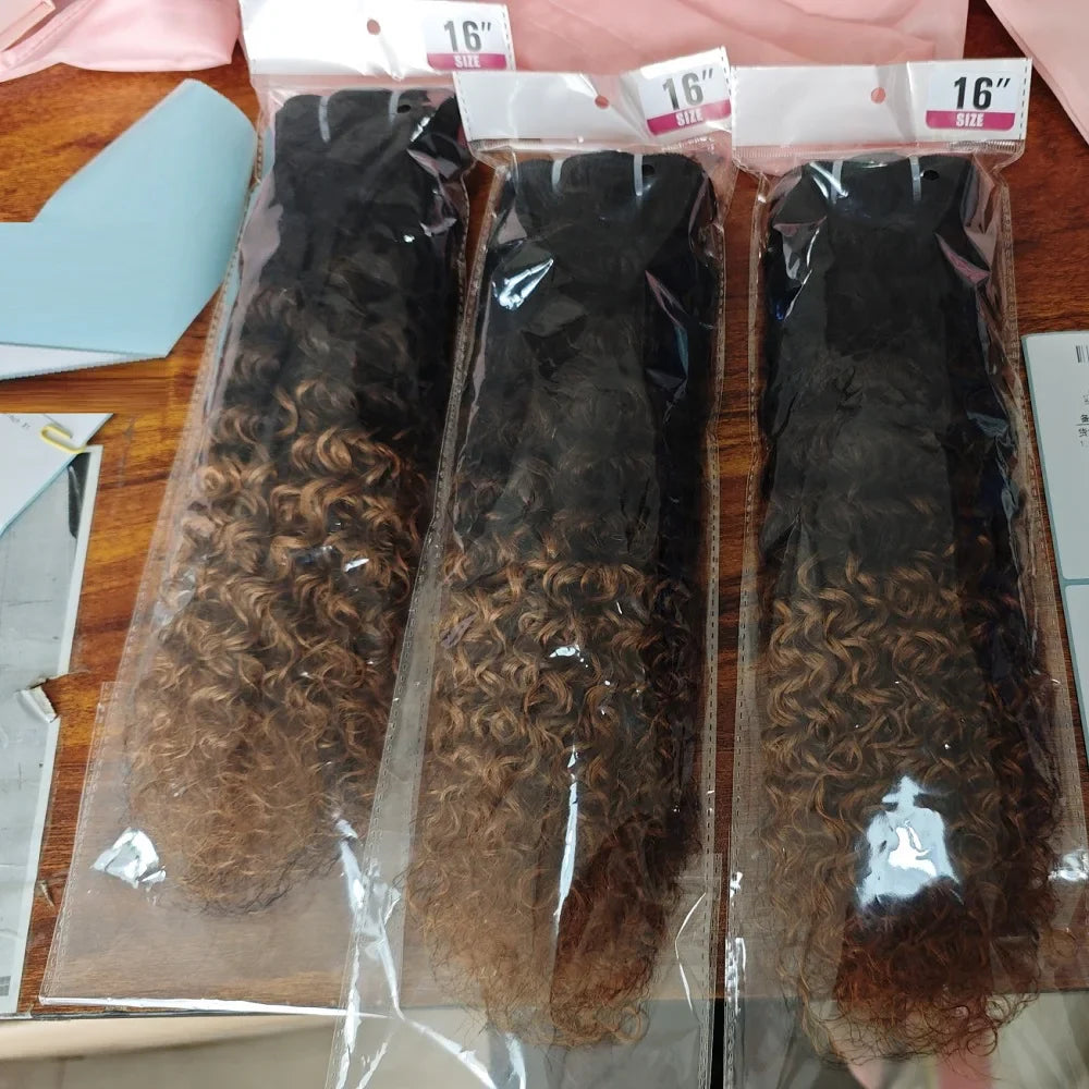 Ombre Afro Kinky Curly Human Hair Bundles With Lace Closures 100% Brazilian Human Hair Extensions 1b/4/30 Weave Bundles